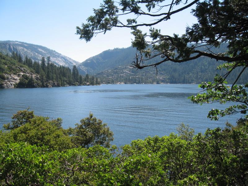 Strawberry Area Pictures